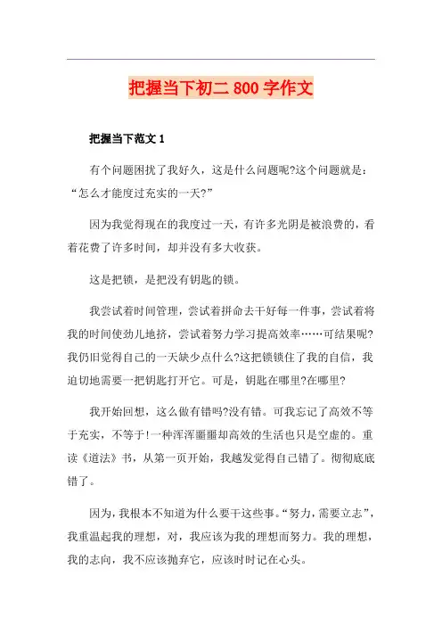 把握当下初二800字作文