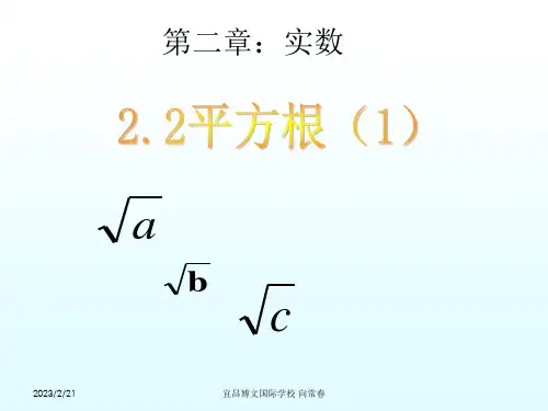 平方根    北师大版数学八年级上册