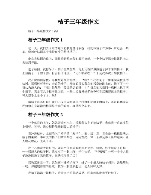 桔子三年级作文