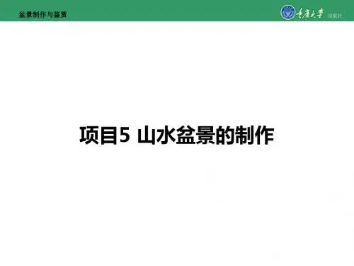 盆景制作与鉴赏项目5 山水盆景的制作-PPT精选文档