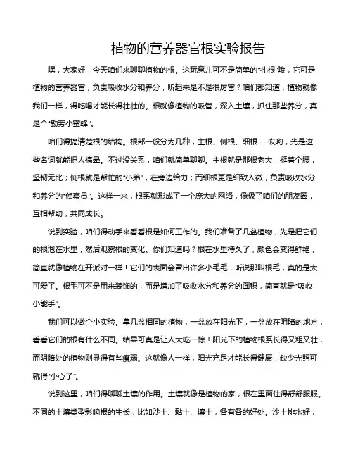 植物的营养器官根实验报告