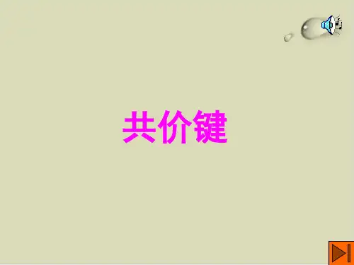 共价键PPT完美版2