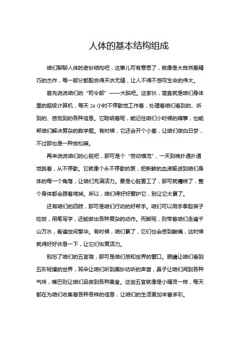 人体的基本结构组成