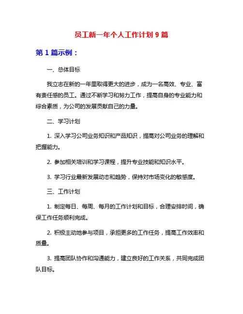 员工新一年个人工作计划9篇