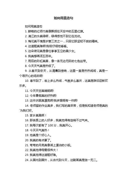 如何用真造句