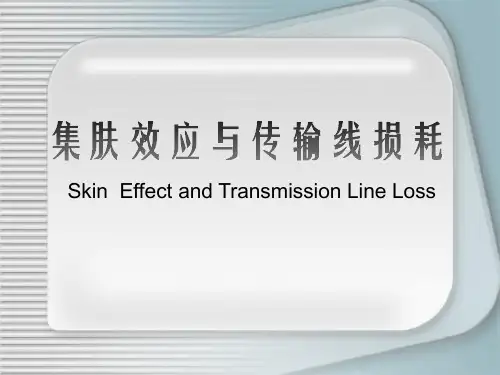 电磁场集肤效应答辩
