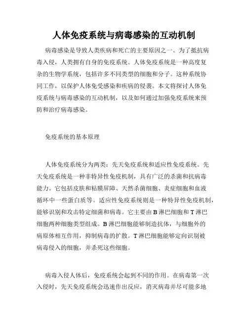 人体免疫系统与病毒感染的互动机制