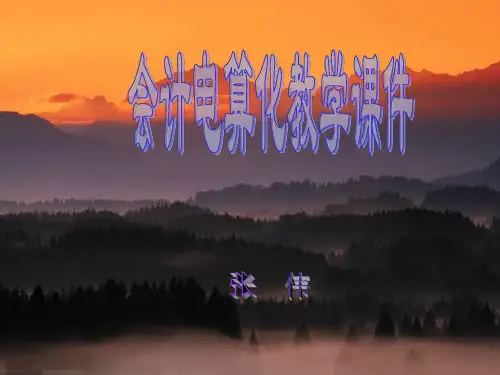 会计电算化教学 ppt课件