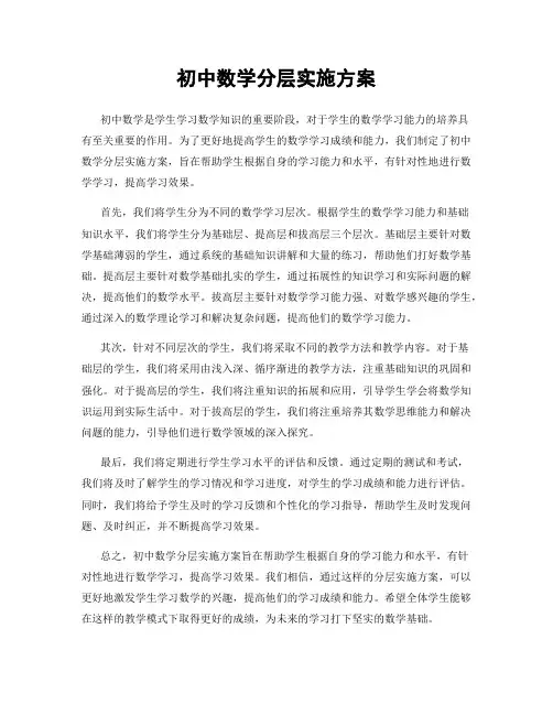 初中数学分层实施方案