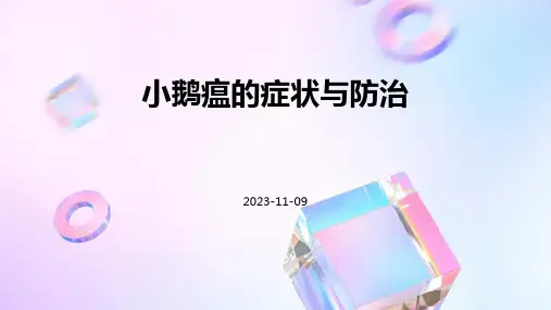 小鹅瘟的症状与防治