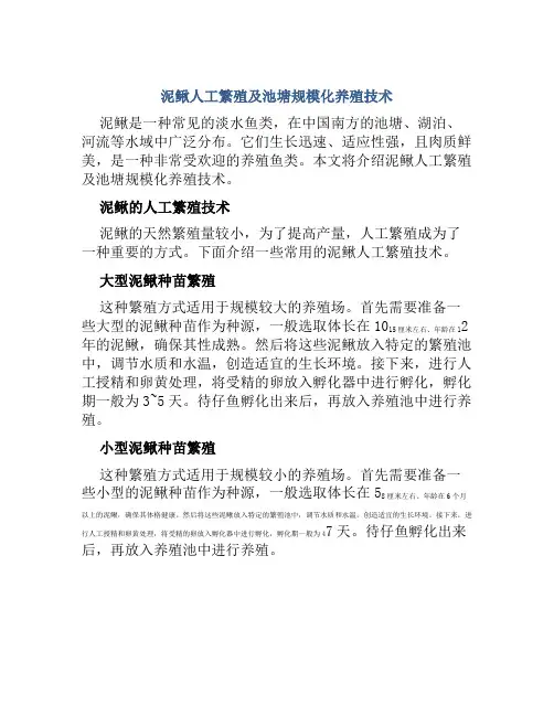 泥鳅人工繁殖及池塘规模化养殖技术