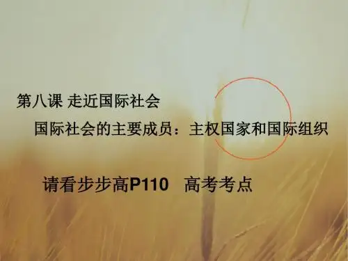 高中政治课件-新人教版高中思想政治必修2《第八课走进国际社会》课件 最新