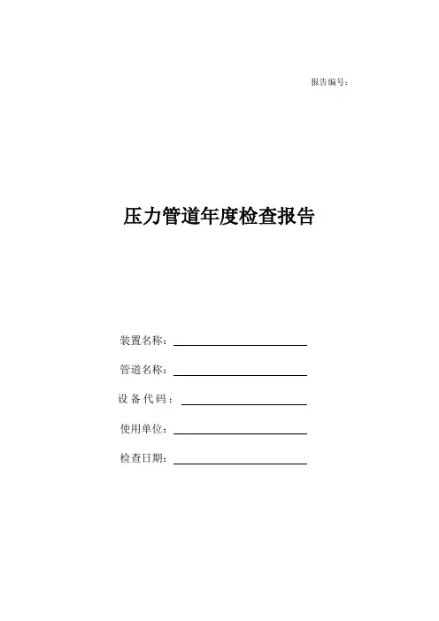 压力管道年度检查表模板