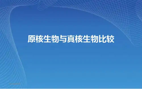 原核生物与真核生物比较