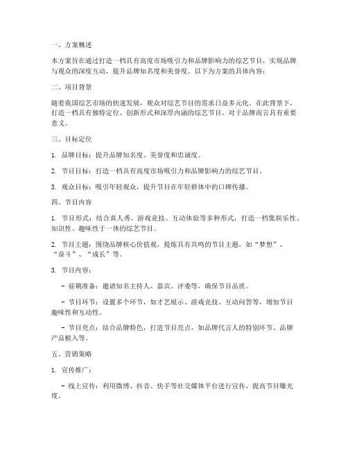 综艺打造品牌策划方案模板