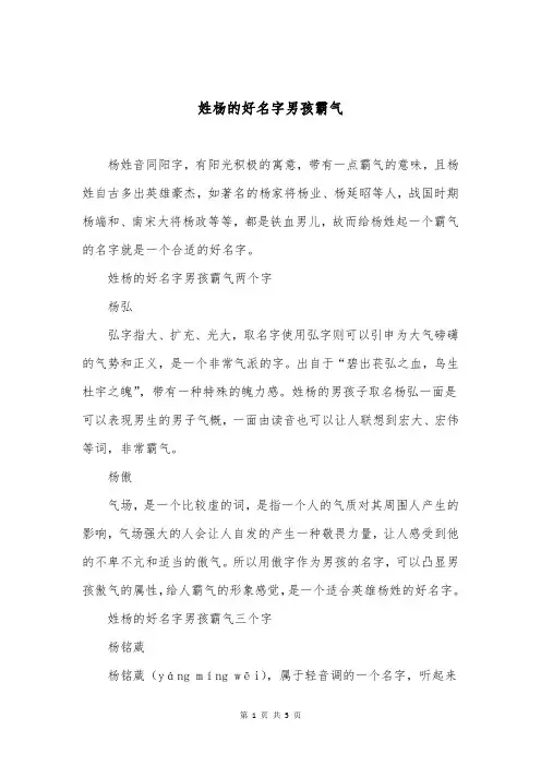 姓杨的好名字男孩霸气