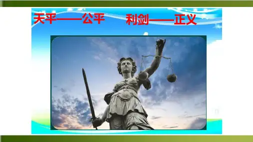 公平正义的价值人教版八下道德与法治优秀PPT