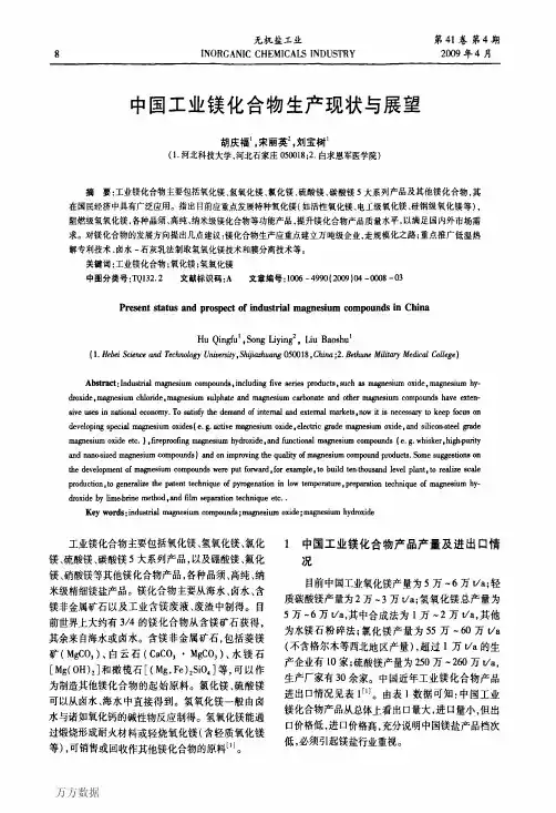 中国工业镁化合物生产现状与展望