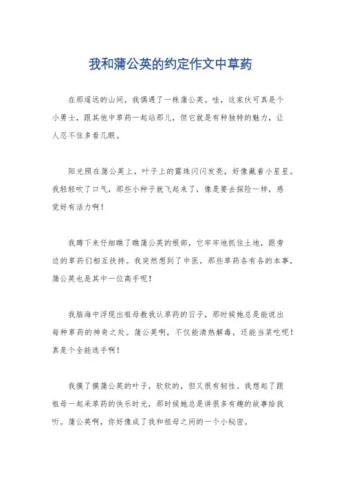 我和蒲公英的约定作文中草药