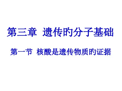 三章遗传的分子基础