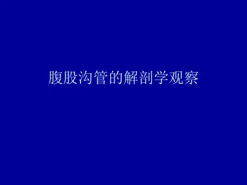 医路向前-腹股沟管的解剖学