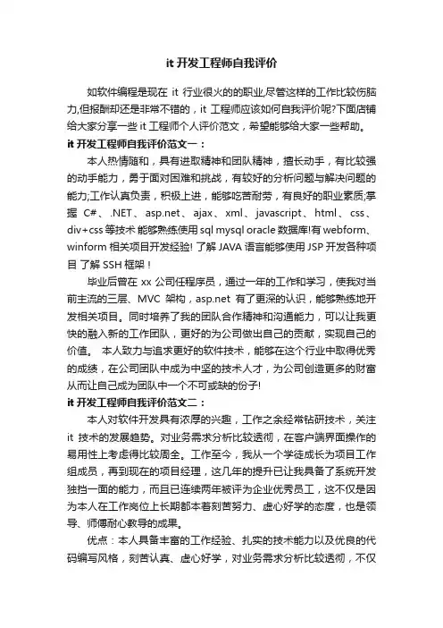 it开发工程师自我评价