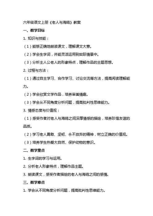 六年级语文上册老人与海鸥教案