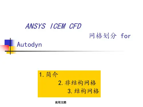 ICEM网格拓扑划分 (2)