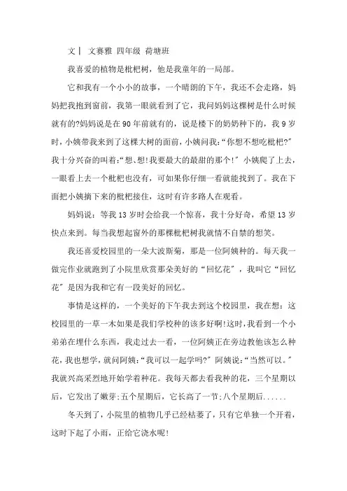 我喜爱的植物和它们的故事精选范文