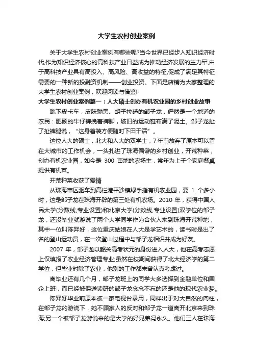 大学生农村创业案例
