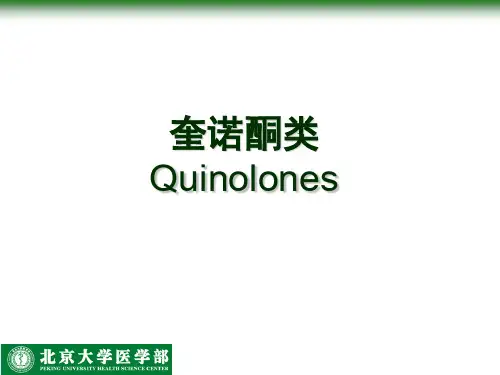人工合成抗菌药讲解
