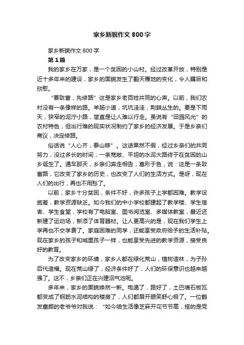 家乡新貌作文800字