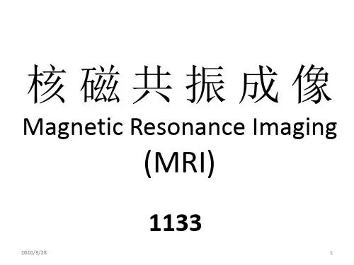 核磁共振成像课件