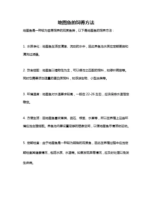 地图鱼的饲养方法