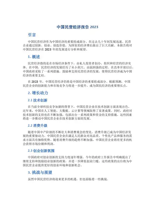 中国民营经济报告2023