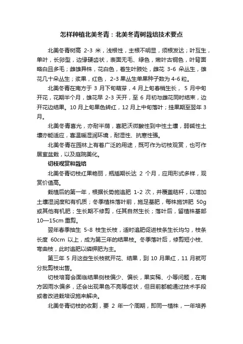 怎样种植北美冬青：北美冬青树栽培技术要点