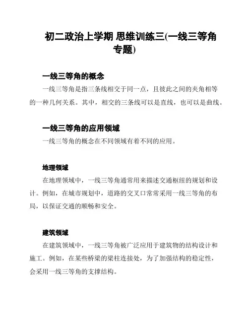 初二政治上学期 思维训练三(一线三等角专题)