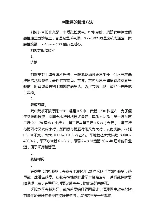 刺嫩芽的栽培方法