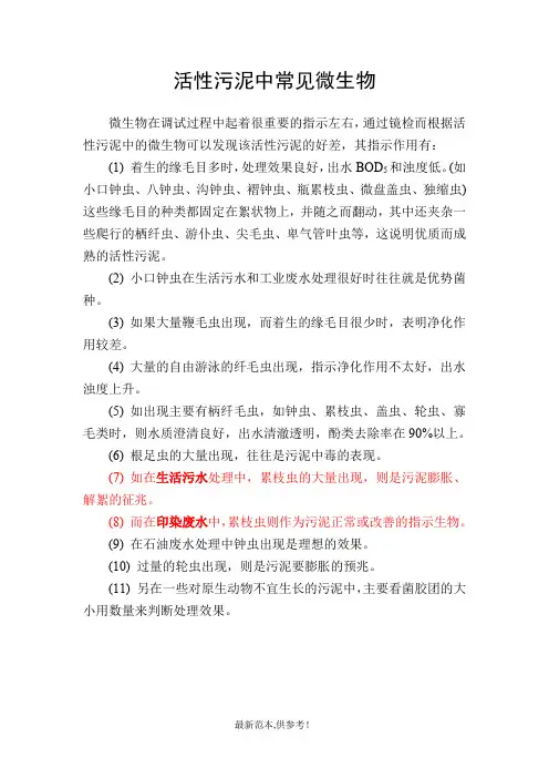 污水处理常见微生物高清晰照片及说明