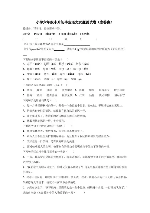 小学六年级小升初毕业语文试题测试卷(含答案)[001]