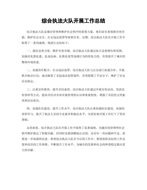 综合执法大队开展工作总结
