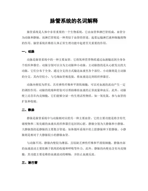 脉管系统的名词解释