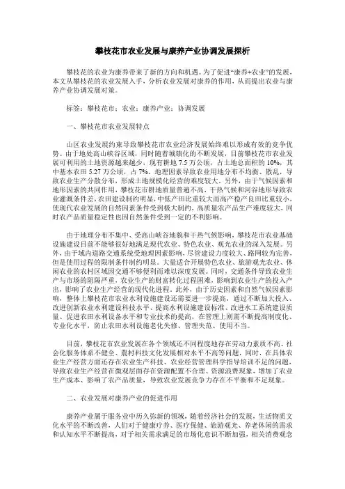 攀枝花市农业发展与康养产业协调发展探析
