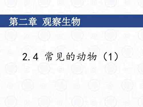 浙教版科学《常见的动物》ppt优秀课件1