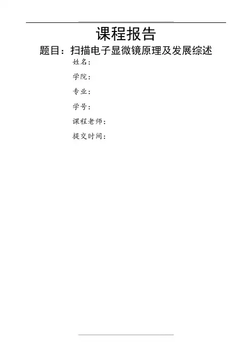 扫描电子显微镜原理及发展综述