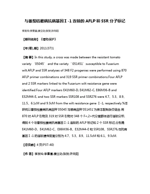 与番茄枯萎病抗病基因Ⅰ-1连锁的AFLP和SSR分子标记