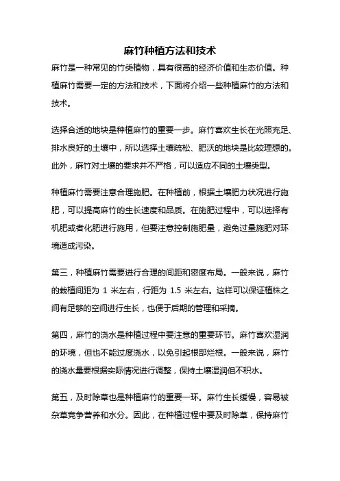 麻竹种植方法和技术