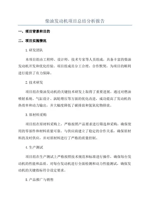 柴油发动机项目总结分析报告