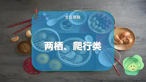 两栖、爬行类