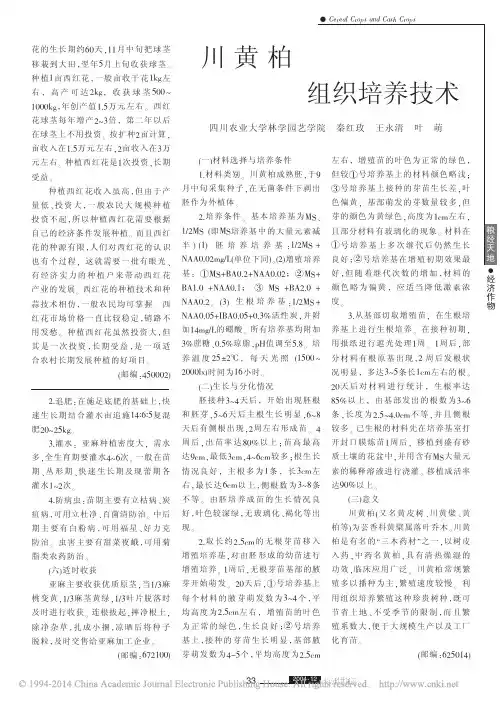 川黄柏组织培养技术